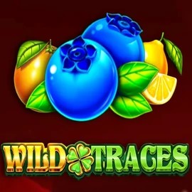 Official Slots logo: Wild Traces by Amusnet Interactive at GramsBet Casino